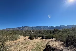 4101 E Quarterhorse Pl, Tucson, AZ 85739 - Photo 41