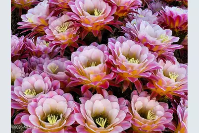 11880 N Cassiopeia Drive, Oro Valley, AZ 85737 - Photo 33