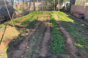 118 W 32nd St, Tucson, AZ 85713 - Photo 15