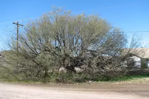 454 N Pomerene Rd, Benson, AZ 85602 - Photo 43