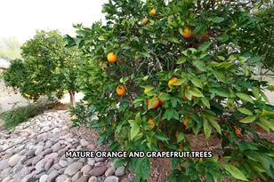 455 W Valoro Dr, Tucson, AZ 85737 - Photo 31