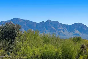 13974 N Green Tree Dr, Oro Valley, AZ 85755 - Photo 3