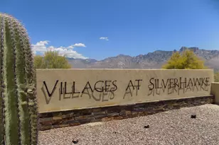 11772 N Silverscape Dr, Oro Valley, AZ 85737 - Photo 49