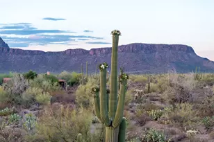 5730 N Tula Ln, Tucson, AZ 85743 - Photo 27