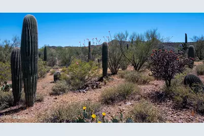 Ironwood Hills Drive #3, Tucson, AZ 85745 - Photo 15