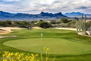 13652 N Gold Cholla Pl, Marana, AZ 85658 - Photo 31