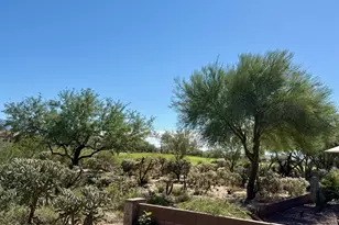 13136 N Desert Flora Ln, Marana, AZ 85658 - Photo 19