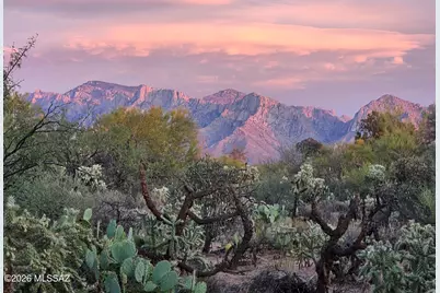 2300 W Sunkist Road, Tucson, AZ 85755 - Photo 47