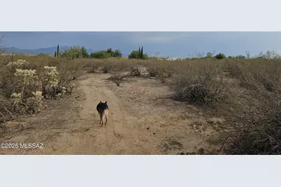 7081 Cactus Patch Way, Sahuarita, AZ 85629 - Photo 3