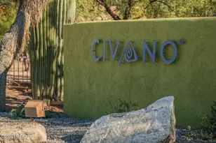 10373 E Loveless Gardner Ln, Tucson, AZ 85747 - Photo 35