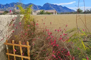11292 N Quail Springs Pl, Tucson, AZ 85737 - Photo 47