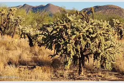 15035 Muldoon Avenue #115, Tucson, AZ 85736 - Photo 13