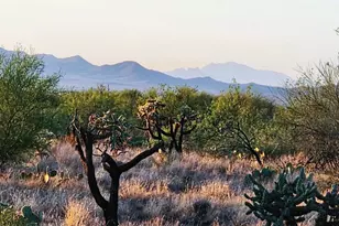 15035 Muldoon Ave, Tucson, AZ 85736 - Photo 1