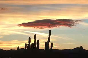 60594 E Black Crest Loop, Tucson, AZ 85739 - Photo 39