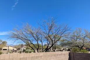 10379 E Ravenswood St, Tucson, AZ 85747 - Photo 31