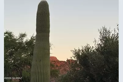 13575 N Holly Grape Drive, Marana, AZ 85658 - Photo 25