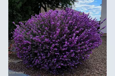 454 E Cactus Mountain Drive, Vail, AZ 85641 - Photo 25