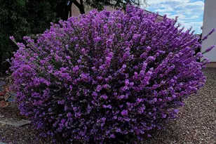 454 E Cactus Mountain Dr, Vail, AZ 85641 - Photo 25