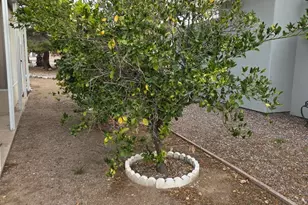 5756 W Flying M St, Tucson, AZ 85713 - Photo 19