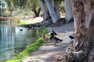 2177 N Split Rock Pl, Tucson, AZ 85749 - Photo 41