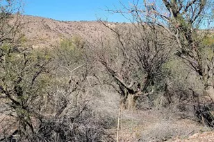 1376 San Blas Ct, Rio Rico, AZ 85648 - Photo 1