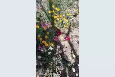 2262 N Woods Place, Tucson, AZ 85749 - Photo 35