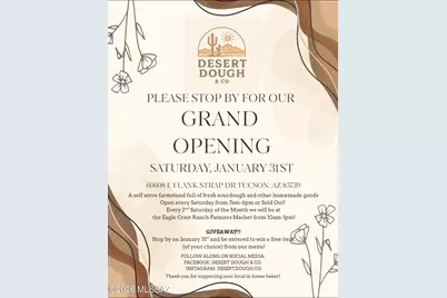 60191 Verde Vista Court, Tucson, AZ 85739 - Photo 31