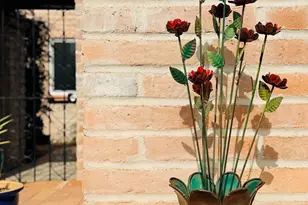 8449 N Via Tioga, Tucson, AZ 85704 - Photo 3