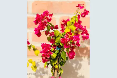 8449 N Via Tioga, Tucson, AZ 85704 - Photo 31