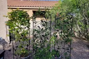 457 E Camino Limon Verde, Sahuarita, AZ 85629 - Photo 25