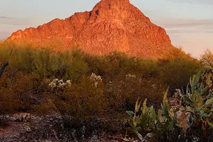 3237 S Treasure Cove Pl, Tucson, AZ 85713 - Photo 27