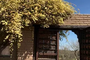 15 Tierra Ln, Tubac, AZ 85646 - Photo 5