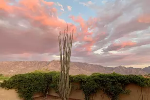 63719 E Whispering Tree Ln, Saddlebrooke, AZ 85739 - Photo 31