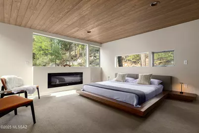 12625 N Ray Avenue, Mt. Lemmon, AZ 85619 - Photo 15