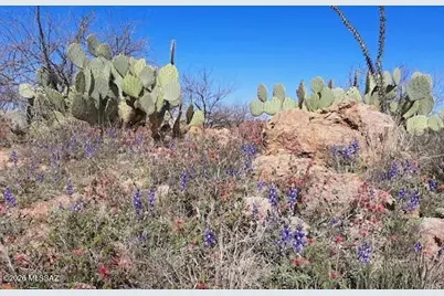Tbd Camino Josefina #143, Rio Rico, AZ 85648 - Photo 7