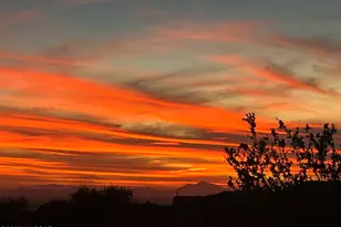 14257 N Lava Falls Trail, Marana, AZ 85658 - Photo 31