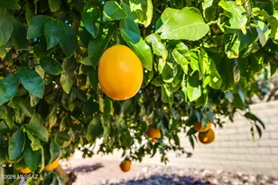 2315 E Bonita Canyon Dr, Green Valley, AZ 85614 - Photo 49