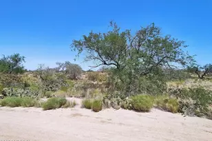 13471 Bruckner Ave, Tucson, AZ 85736 - Photo 1