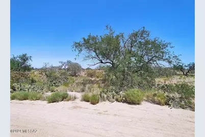 13521 Bruckner Avenue #417, Tucson, AZ 85736 - Photo 1