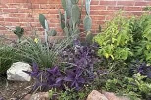 2347 Camino Esplendido, Tubac, AZ 85646 - Photo 41