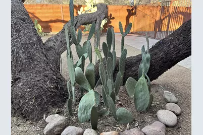 2347 Camino Esplendido, Tubac, AZ 85646 - Photo 45