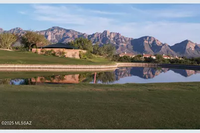 14582 N Alamo Canyon Drive, Oro Valley, AZ 85755 - Photo 39