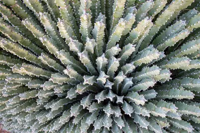 7418 E Calle La Vega, Tucson, AZ 85710 - Photo 5