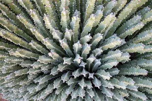 7418 E Calle La Vega, Tucson, AZ 85710 - Photo 5