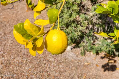 2630 E Genevieve Way, Green Valley, AZ 85614 - Photo 49