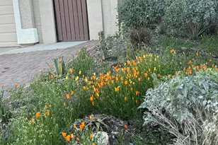 3671 W Meadow Briar Dr, Tucson, AZ 85741 - Photo 9