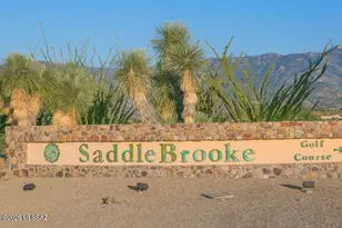 39789 S Winding Trail Dr, Tucson, AZ 85739 - Photo 49