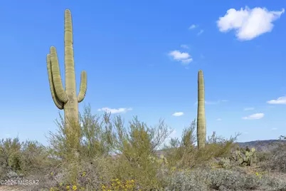 8293 Tumbling Y Ranch Place #142, Vail, AZ 85641 - Photo 7