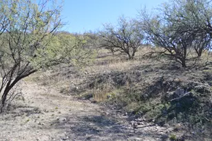 989 Bird Ln, Rio Rico, AZ 85648 - Photo 1