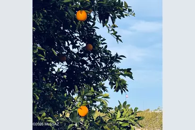 30239 E Little Crow Road, Marana, AZ 85658 - Photo 29